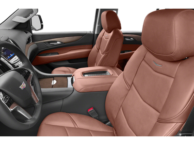 2019 Cadillac Escalade Platinum Edition