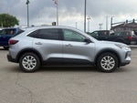 2024 Ford Escape Active AWD