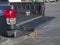 2008 Toyota Tundra SR5