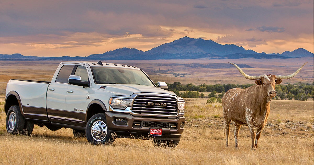 Ram Laramie Longhorn Wyoming- Photo: Lauren Baures